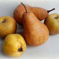 sfumature di frutta di 