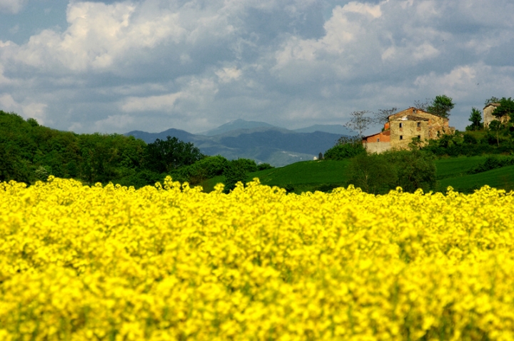 Paesaggio italiano di gianni87