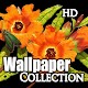 Download HD Wallpapers For PC Windows and Mac