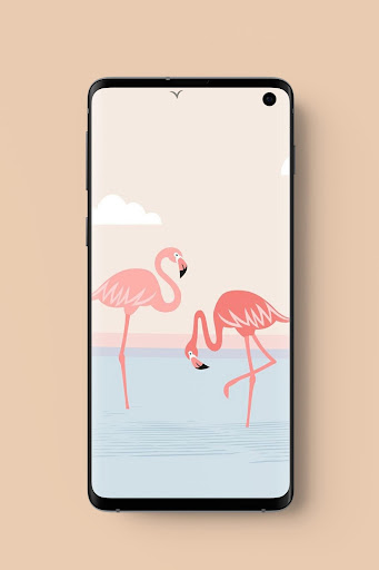 Cute Flamingo Wallpapers HD 2020