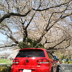 ゴルフ6 GTI