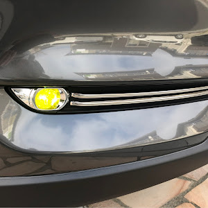 CX-8 KG2P