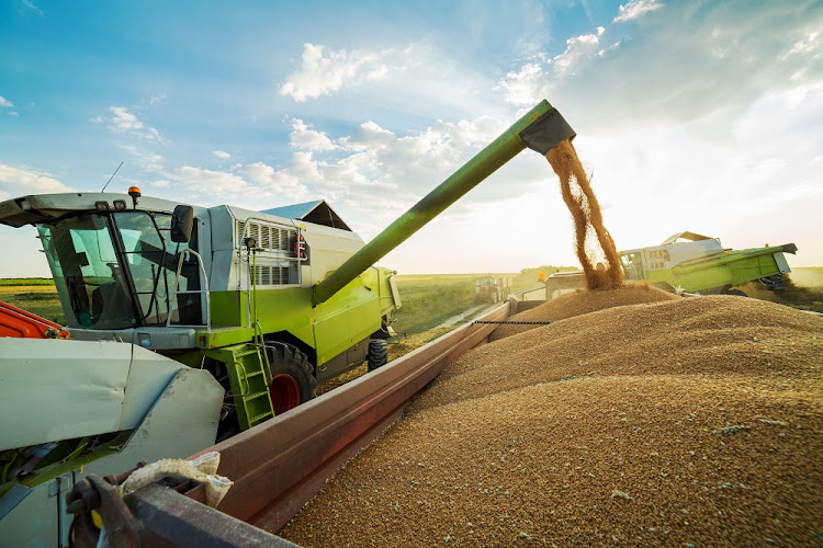 SA farmers expect to plant 2.6-million hectares of maize this year, a 5.3% decline compared with the previous year. Picture: 123RF/OTICKI