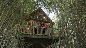 Ultimate Treehouses VI thumbnail