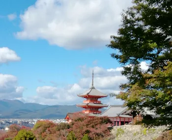 絶賛京都来てる