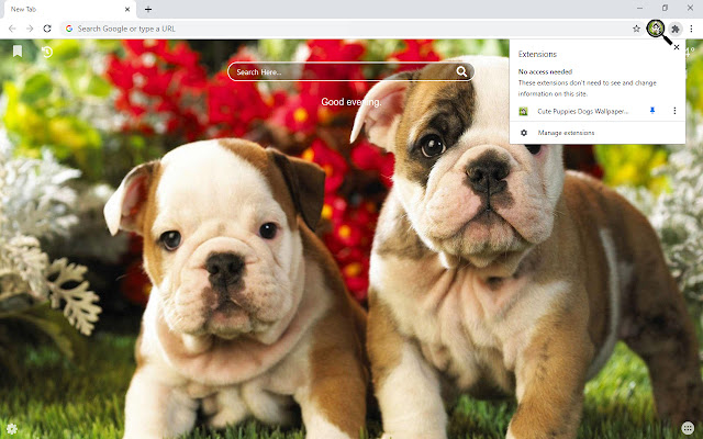 Cute Puppies Dogs Background New Tab