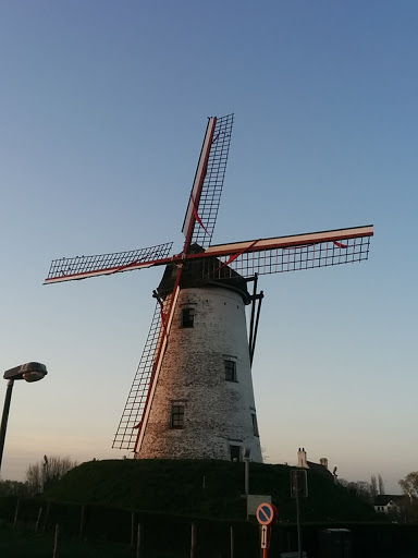 Windmolen Damme 2