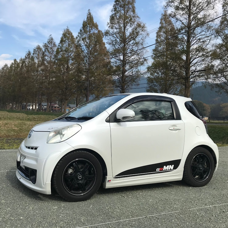 iQのiQ NGJ10・植物とコラボ・ホイールキャップ・みんなのセンターキャップが見たいに関するカスタム事例の投稿画像3枚目