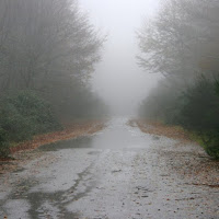 Autunno in montagna di 