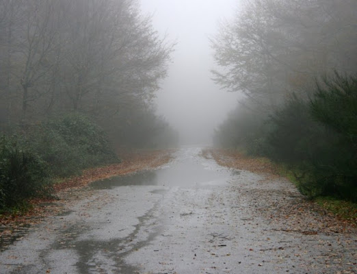 Autunno in montagna di esternicita