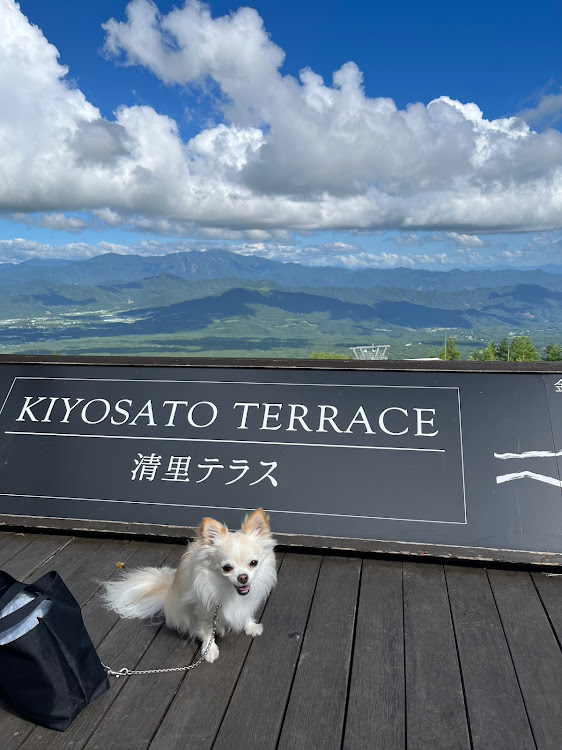 セレナの富士山・八ヶ岳・清里テラスに関するカスタム事例の投稿画像8枚目