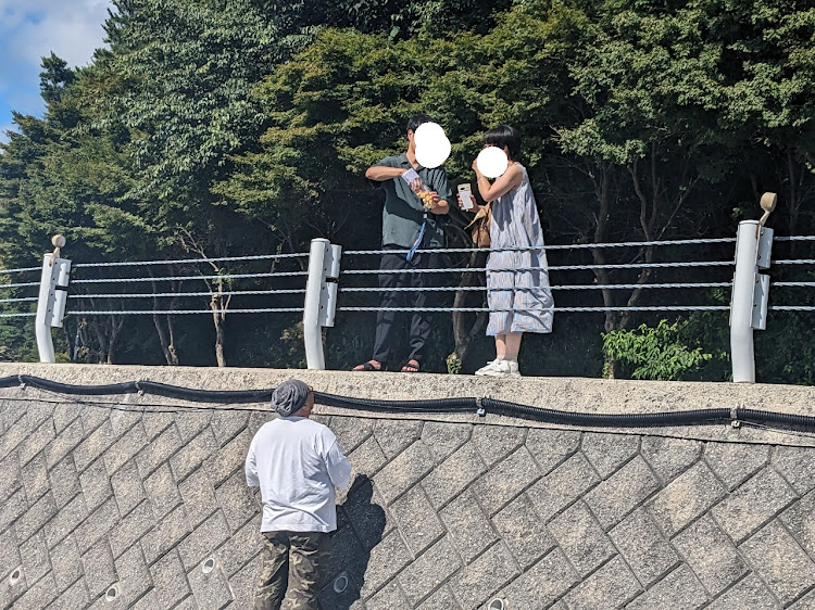 500Cの関西・関東ユーロTRG・天橋立・芦有ドライブウェイ 東六甲展望台・台風にお気をつけて下さい・お昼ごはんは牡蠣定食に関するカスタム事例の投稿画像3枚目