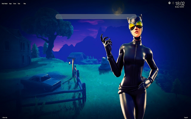 Catwoman Fortnite HQ Wallpapers New Tab