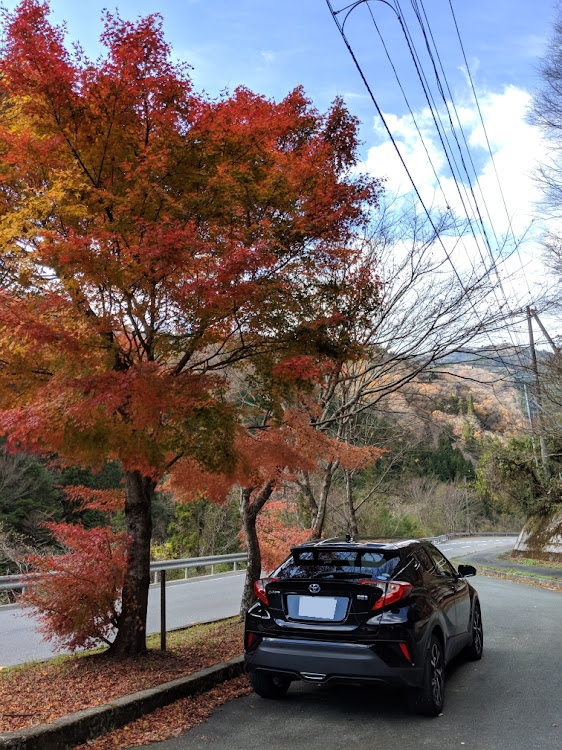 C-HRのドライブ・紅葉に関するカスタム事例の投稿画像4枚目