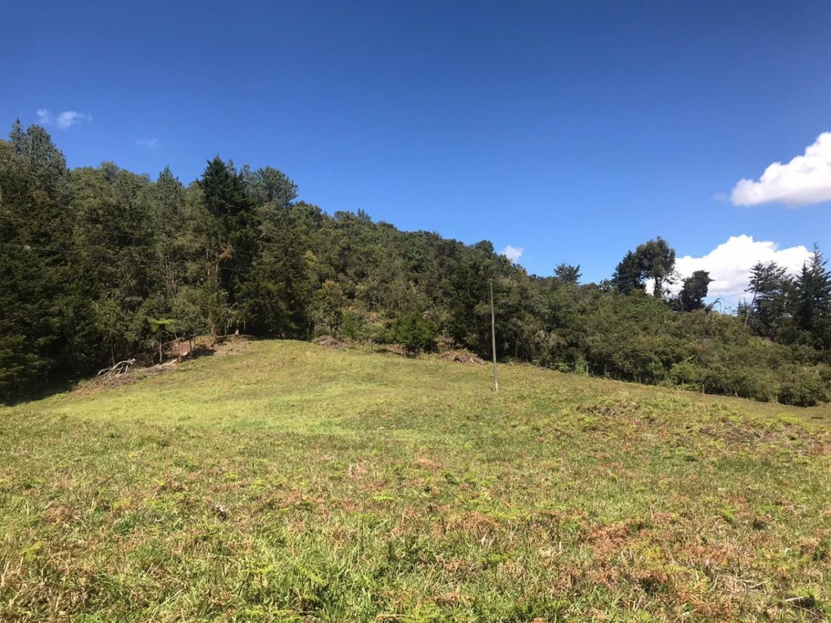 Lotes para Venta en Vereda pantanillo