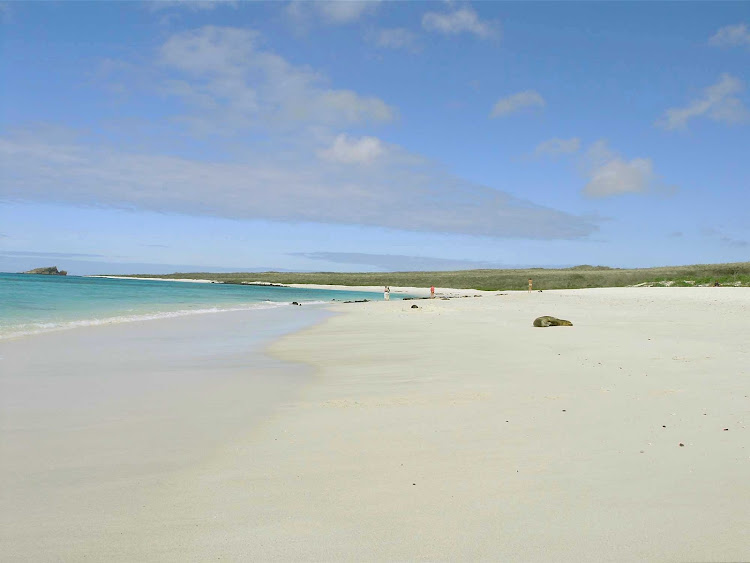 The beach on Española Island in the Galápagos.