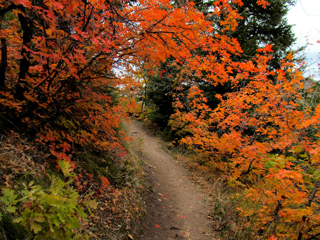 Desolation Trail