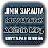 Jinin Sarauta - Audio Mp31.0