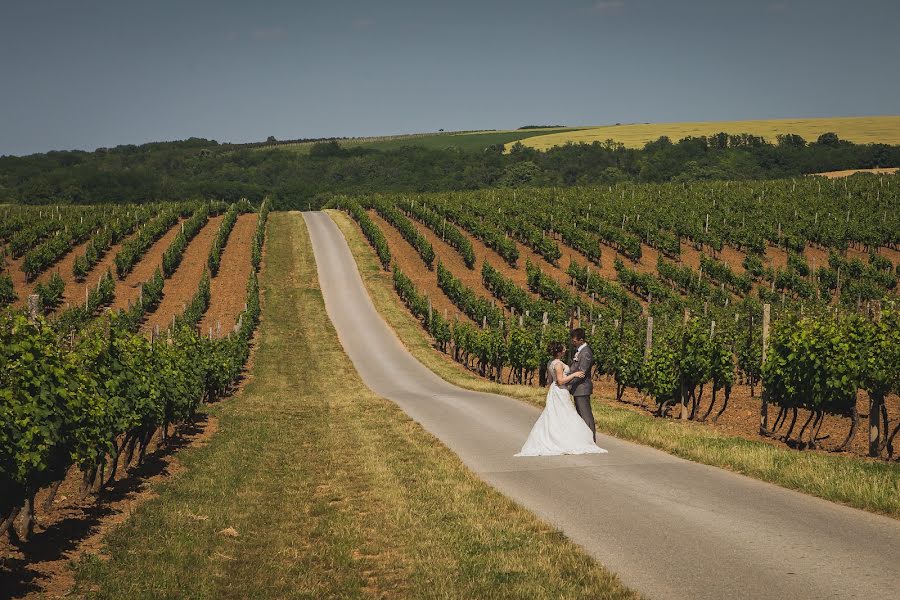 Wedding photographer Krešimir Šarčević (kresimirsarcevi). Photo of 4 March 2016