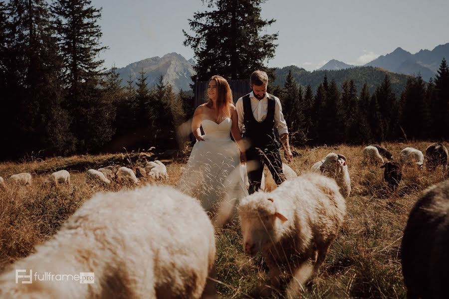 Fotógrafo de casamento Bartosz Trepiński (bartosztrepins). Foto de 3 de outubro 2019