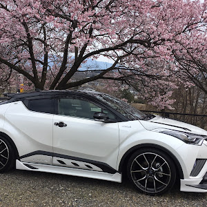 C-HR ZYX10