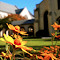 Item logo image for Chapel of the Cross, Chapel Hill: Daisy