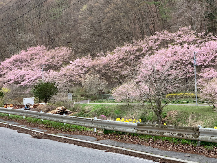 の投稿画像3枚目