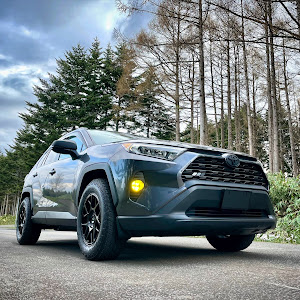 RAV4 MXAA54