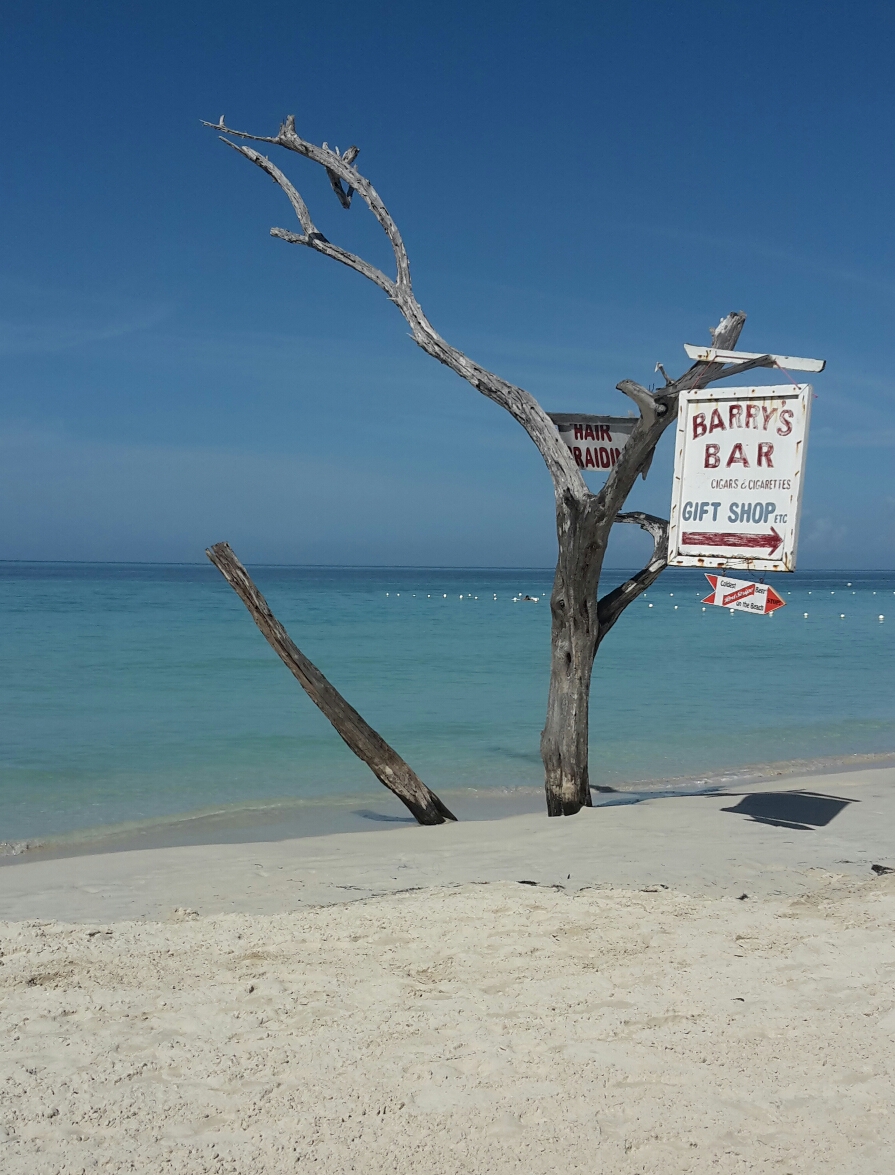 caffè per pirati dei Caraibi di robi alvis