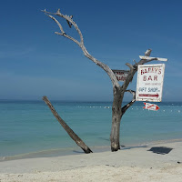 caffè per pirati dei Caraibi di 