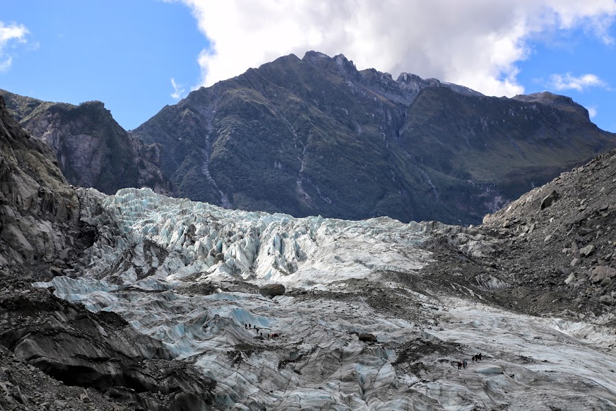 lodowiec, Fox Glacier