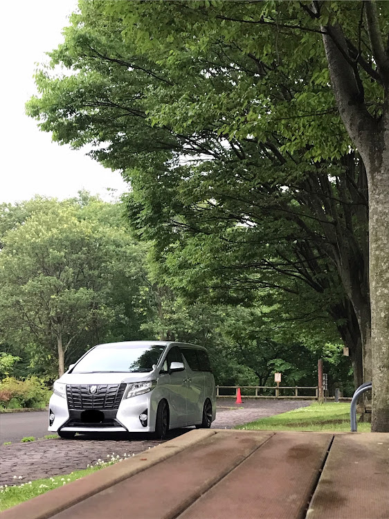アルファードの梅雨活・コロナが早く終息しますようにに関するカスタム事例の投稿画像2枚目