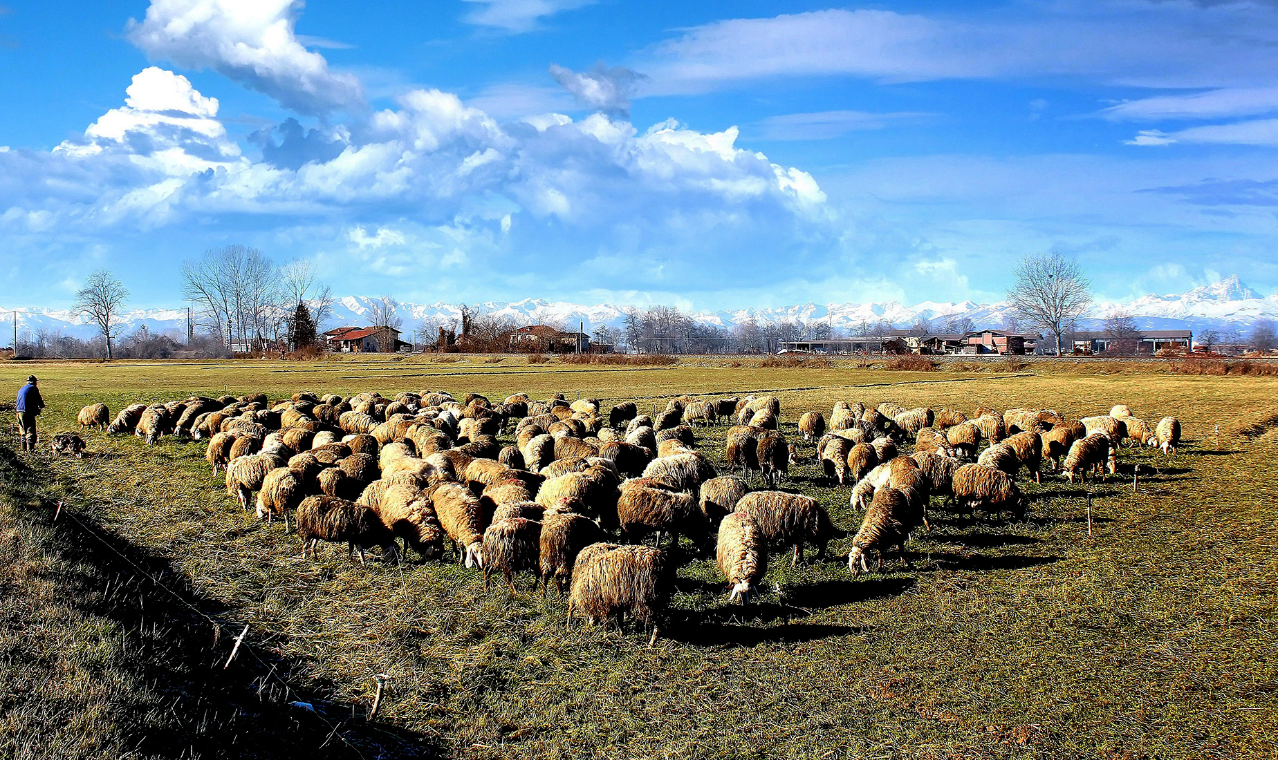 nostalgia della campagna. di Naldina Fornasari