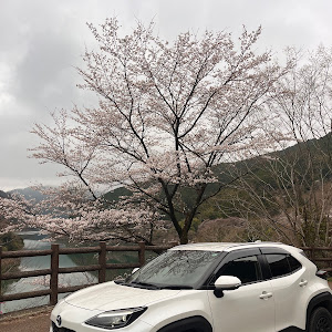 ヤリスクロス MXPJ15