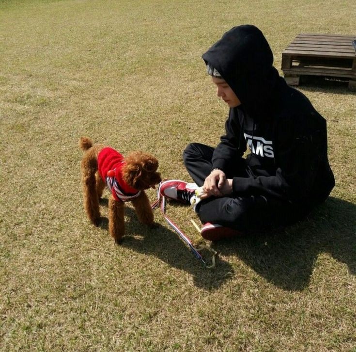 BTS Suga’s Dog Holly Is Basically His Boss — Here’s His Latest Update : Entertainment Daily
