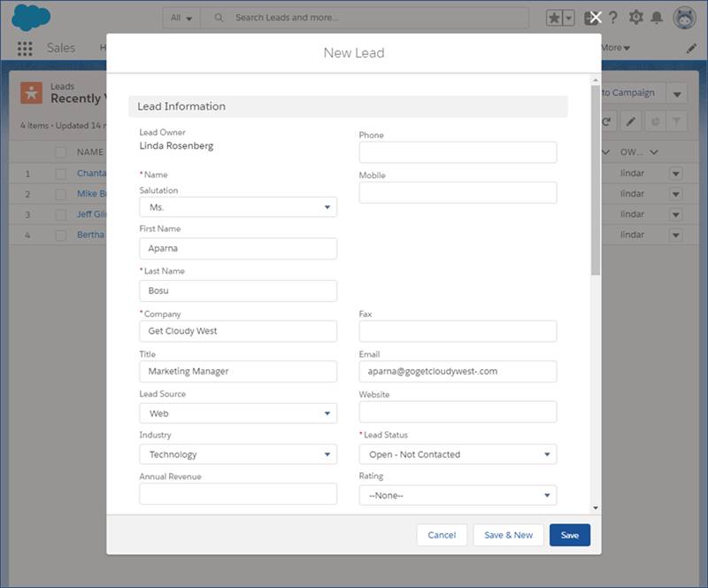 new lead in salesforce