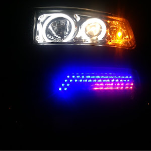 bB NCP31