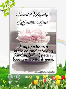 Beautiful Sunday Blessing Quotes(圖6)-速報App
