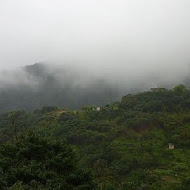 邀月茶坊Yaoyue Teahouse