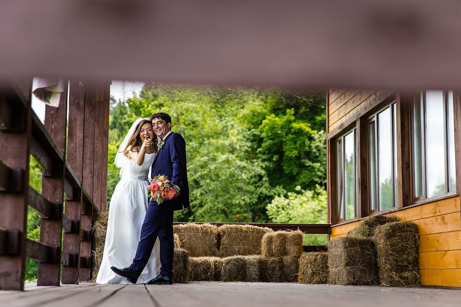 Photographe de mariage Dmitriy Tolmachev (dimtol). Photo du 13 novembre 2017