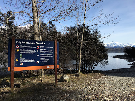 Eely Point, Lake Wanaka