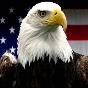 Quiz on State Symbols 2.0