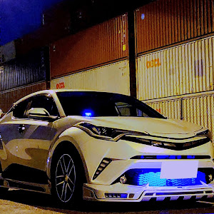 C-HR NGX10