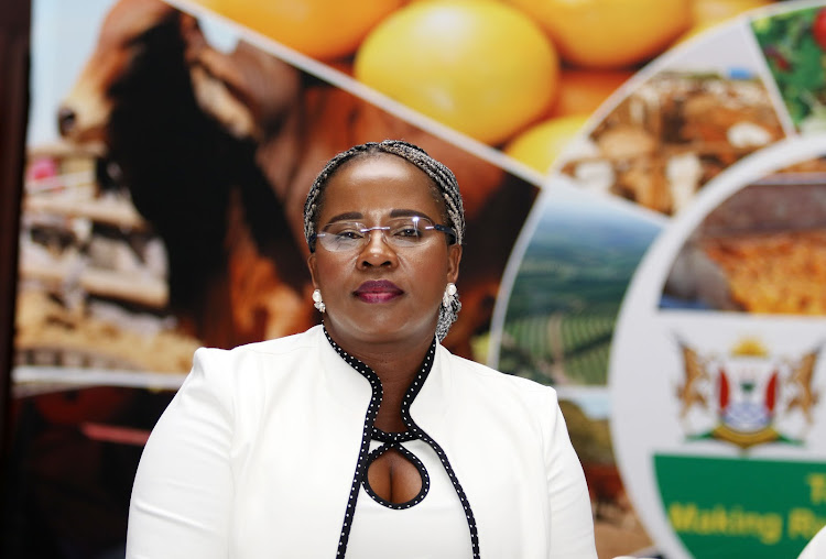 Rural development and agrarian reform MEC Nomakhosazana Meth