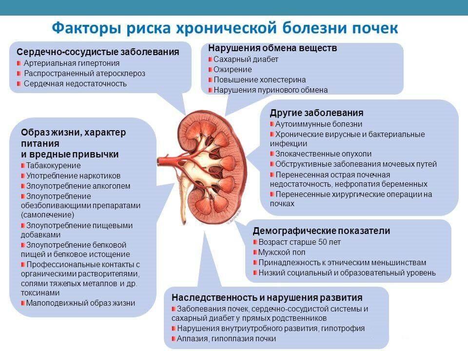 Причины болезни почек