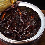 steamed grasshoppers in a can at Mr. Kanso in Osaka in Osaka, Osaka, Japan