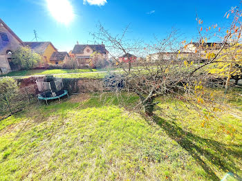 maison à Bergheim (68)