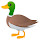 Ducks HD new free tab theme