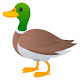 Ducks HD new free tab theme