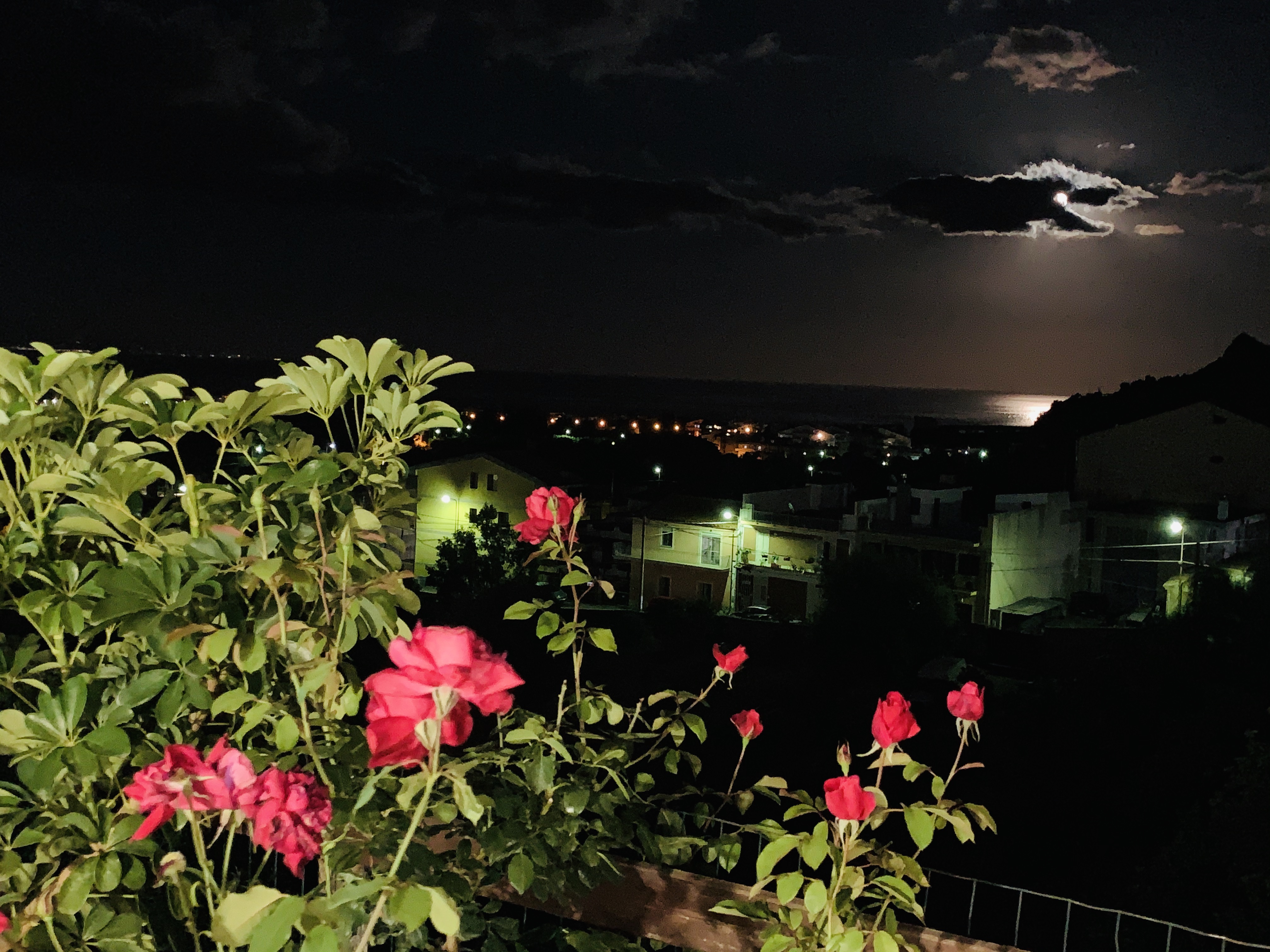 La luna in una notte di giugno  di Ross83